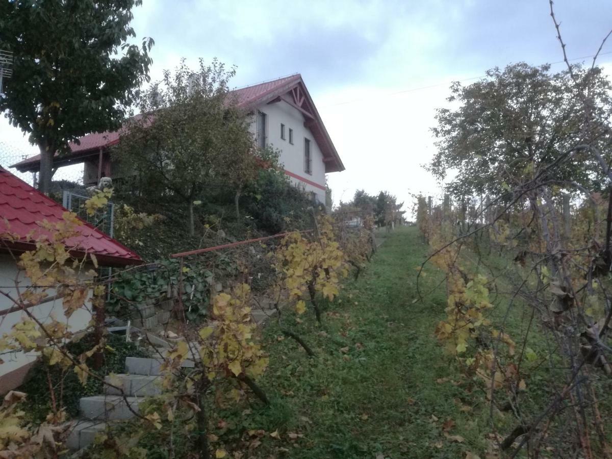 Penzion Nad Jezerem Pavlov Kültér fotó